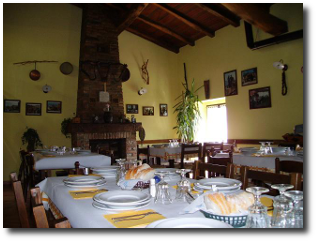 Il castagno .. dentro ..